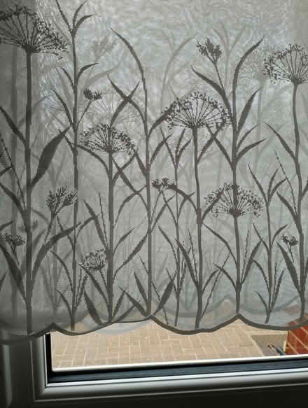 Photo of free Net curtains x 3 (Blaydon NE21) #1