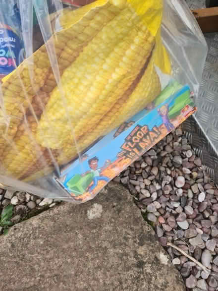 Photo of free Large bag of childrens wooden toys, puzzels, playdoh machine (Fox Elms GL4) #3