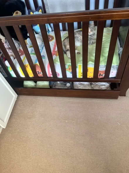 Photo of free Sleigh style cot/toddler bed (Yateley GU46) #1