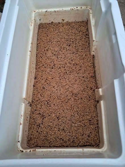 Photo of free Spent grain, for chickens, pigs etc. (Addlestone KT15) #1
