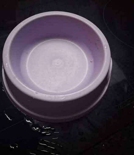 Photo of free Pet bowl, child hair towel and small chopping board (Lostock Hall PR5) #3