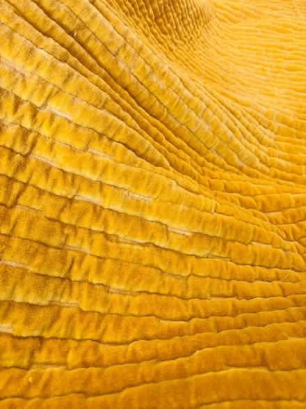 Photo of free Queen gold velvet comforter (North Hollywood) #2