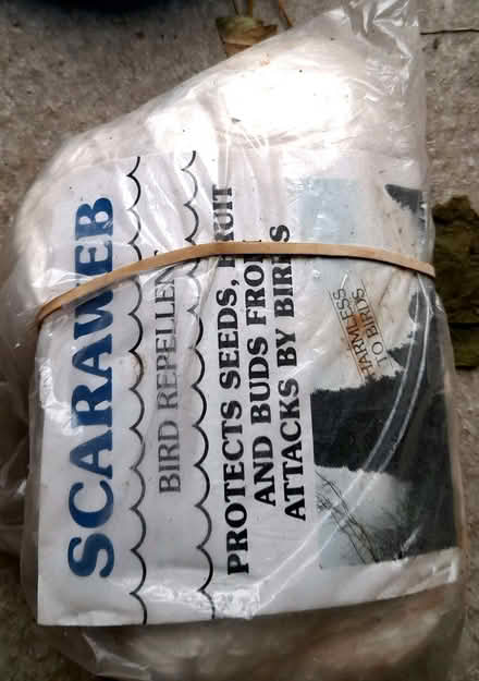 Photo of free Bird protection cover for eg cherries or soft fruit. (City Centre NR1) #1