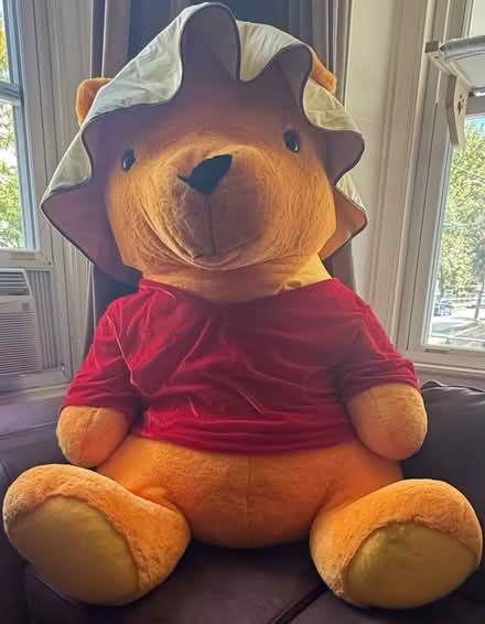 Photo of free Massive poohbear (Ashland st. Medford) #1