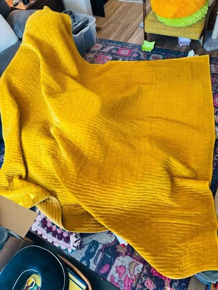 Photo of free Queen gold velvet comforter (North Hollywood) #1