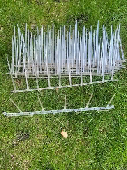 Photo of free Deterrent spikes - 14 strips (BR6) #1