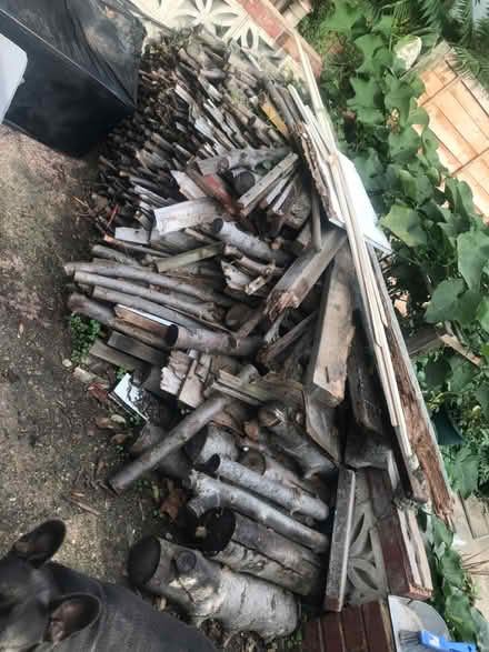 Photo of free Wood cut from the tree (Streathamhill) #1
