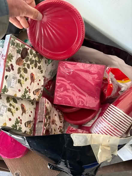 Photo of free Plates, napkins, cups (59 Larchwood Dr Cambridge MA) #1