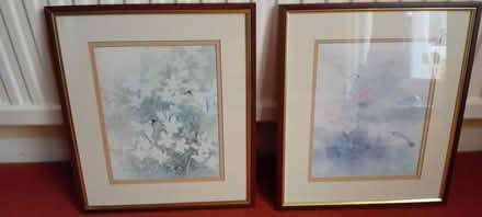 Photo of free Pair hummingbird prints (Wokingham, RG41) #1