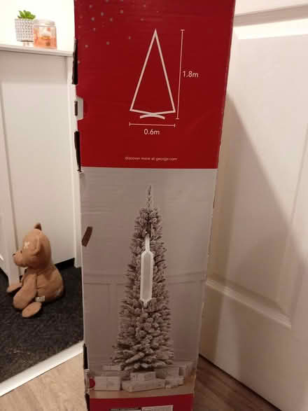 Photo of free Slim snowy Christmas tree (CH43) #1