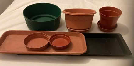 Photo of free Plant trays/pots (Bloomsbury WC1H) #1