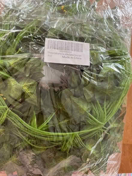 Photo of free Ivy garland string light (Woodley RG6) #2