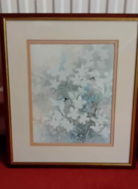 Photo of free Pair hummingbird prints (Wokingham, RG41) #3