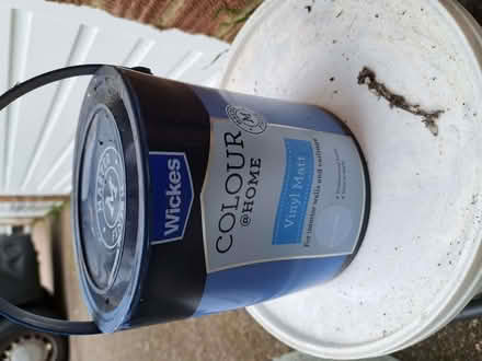 Photo of free Sapphire paint (Gadebridge HP1) #2