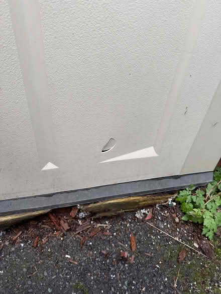 Photo of free Outdoor storage unit - in ok condition (Astley Village PR7) #4