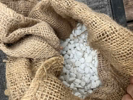 Photo of free Garden pebbles (Harolds cross) #2