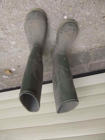 Photo of free Knee high wellington boots (Baldock SG7) #1