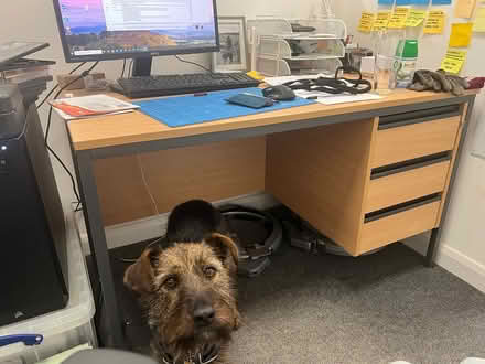 Photo of free Office Desk (Sutton Coldfield B73) #1