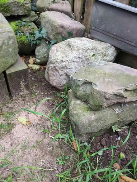 Photo of free Rockery Rocks? (Bronllys LD3) #2