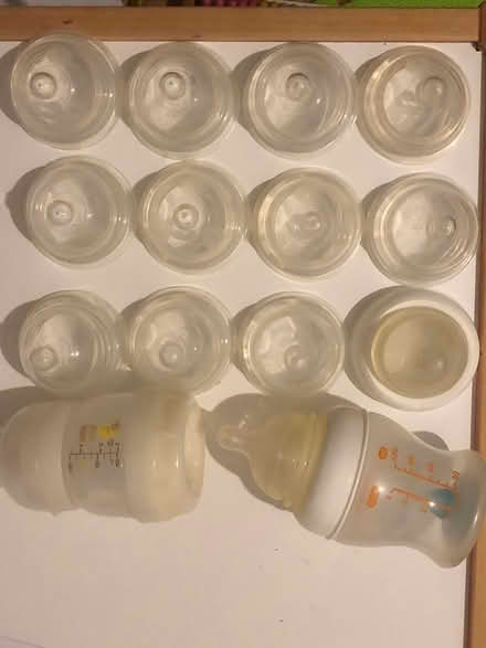 Photo of free Munchkin latch teats (Edmonton, N18) #4