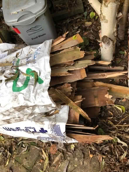 Photo of free Kindling wood (South Malling BN7) #1
