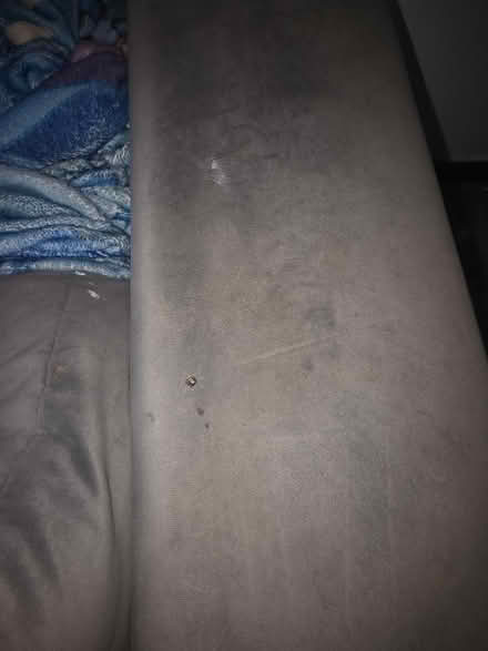 Photo of free Sofa (Faversham ME13) #3