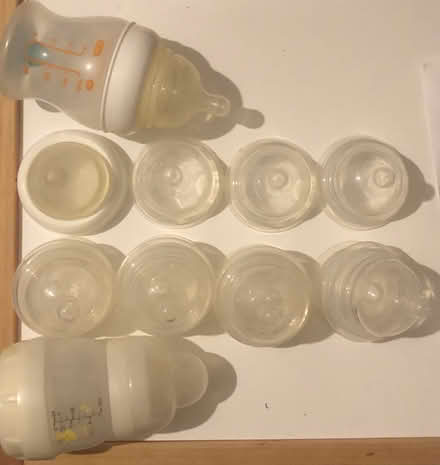 Photo of free Munchkin latch teats (Edmonton, N18) #1