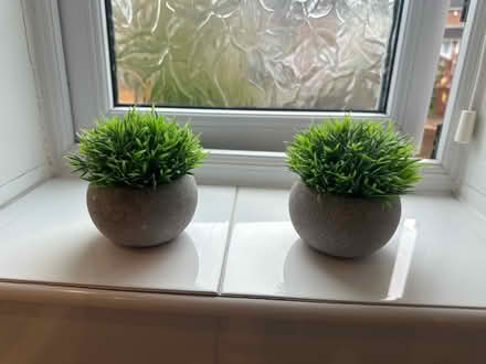 Photo of free Decorative small artificial plants (Sunnyhurst, Darwen (BB3)) #1