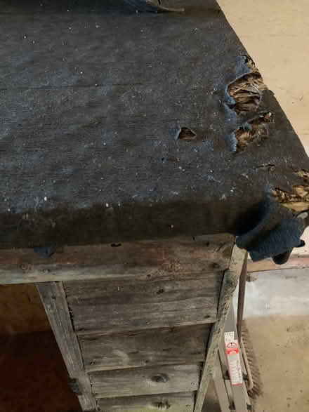 Photo of free Garden Shed (Pipe Aston SY8) #3