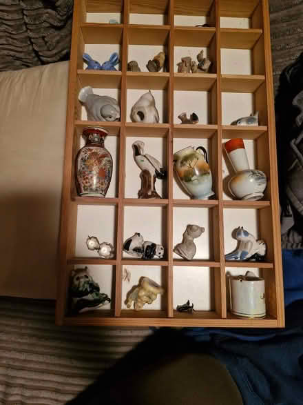 Photo of free Display case and contents (BR1 bickley) #1