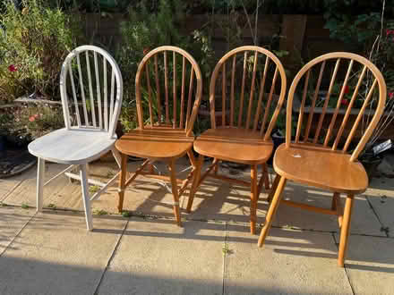 Photo of free Four chairs (Filsham TN38) #1