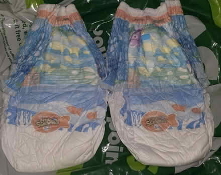 Photo of free 2 x little swimmers nappies (TW1, Strawberry Hill) #1