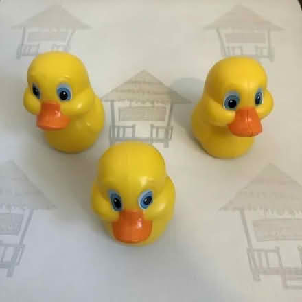 Photo of Lucky duck spares or the game (Wheatley OX33) #2