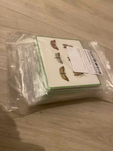 Photo of free Sticky moth traps (OX3 Headington) #2