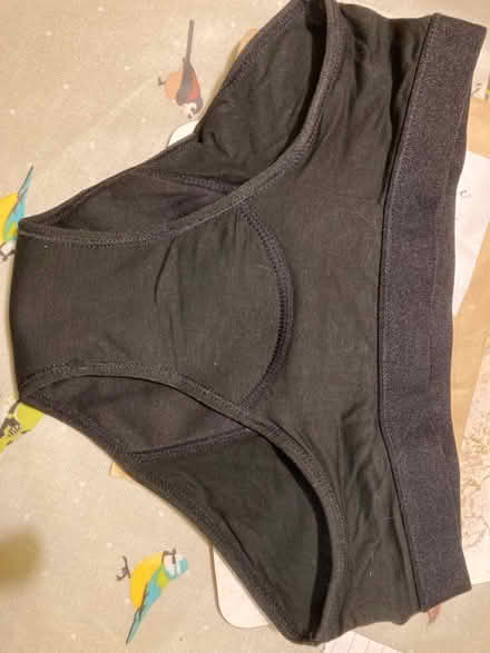 Photo of free reusable period pants (Barnards green WR14) #2