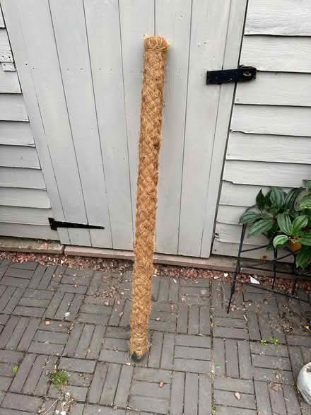 Photo of free Plant support pole (Colchester CO4) #1