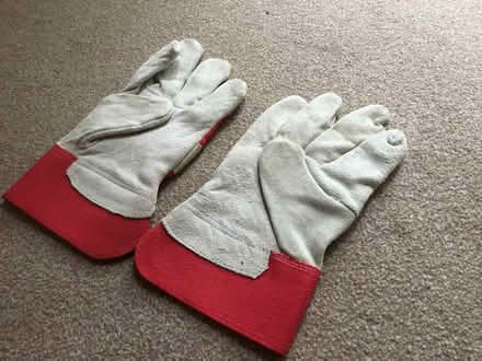 Photo of free work gloves (Abingdon-on-Thames OX14) #1