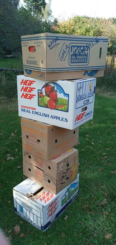 Photo of free Cardboard Boxes (Lingwood NR13) #1