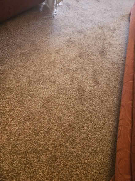 Photo of free Large carpet (Handsworth) #1