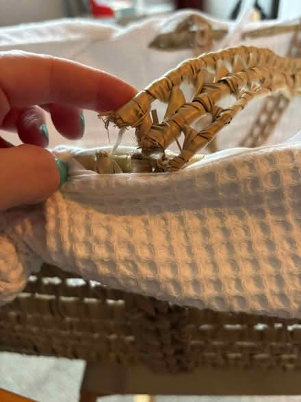 Photo of free Baby Moses basket (S6 - Loxley/Malin Bridge) #4