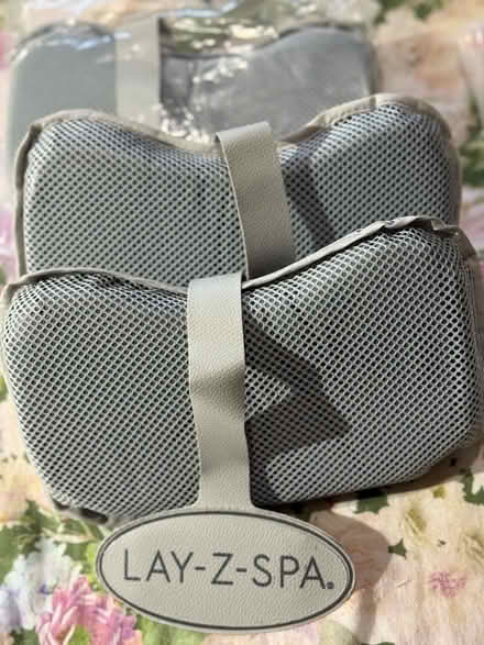 Photo of free Lay-z-spa pillows (Peckham SE15) #1