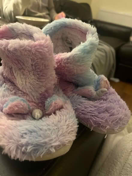 Photo of free Unicorn slippers size 2 (Emscote Mill CV34) #1