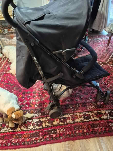 Photo of free My neighbor has just popped this in (Rm3 0gd) #4