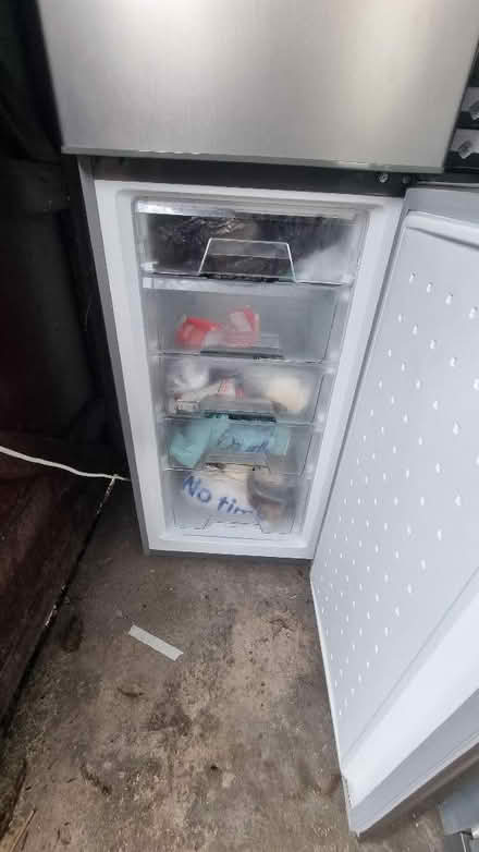 Photo of free Hoover Fridge Freezer (Lightwood ST3) #3