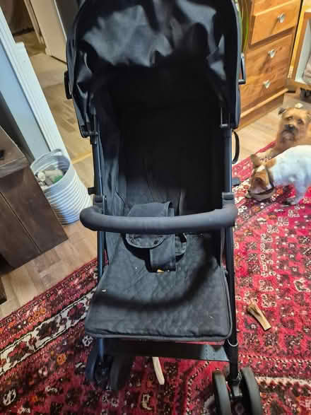 Photo of free My neighbor has just popped this in (Rm3 0gd) #1