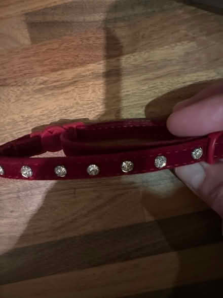 Photo of free Cat collar vgc (CO4 9 Colchester) #1