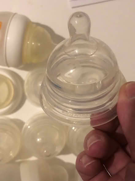 Photo of free Munchkin latch teats (Edmonton, N18) #3