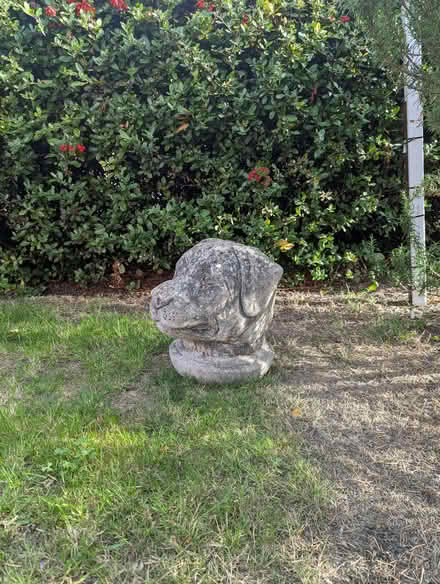 Photo of free Cement Dog's Head (ME9) #2