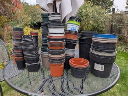 Photo of free Plastic plant pots (Howlands, AL7) #1