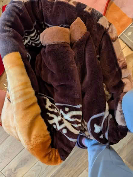 Photo of free Warm blanket (Forest Hill) #3